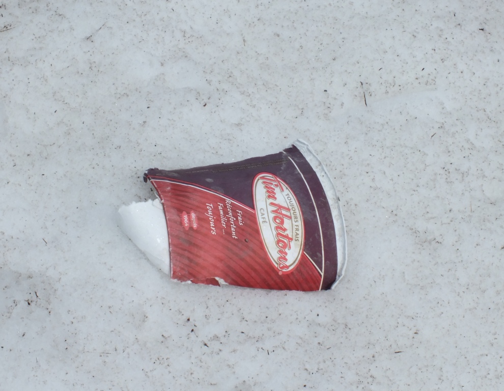The bane of Canadian civilization - discarded coffee cups. Sadly, litter plagues this small community.