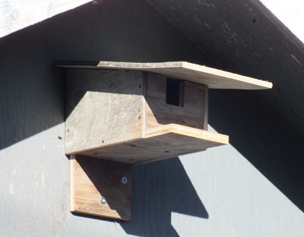 The overhang on the box (and the roof) will provide protection from Common Ravens which are plentiful in Iqaluit.
