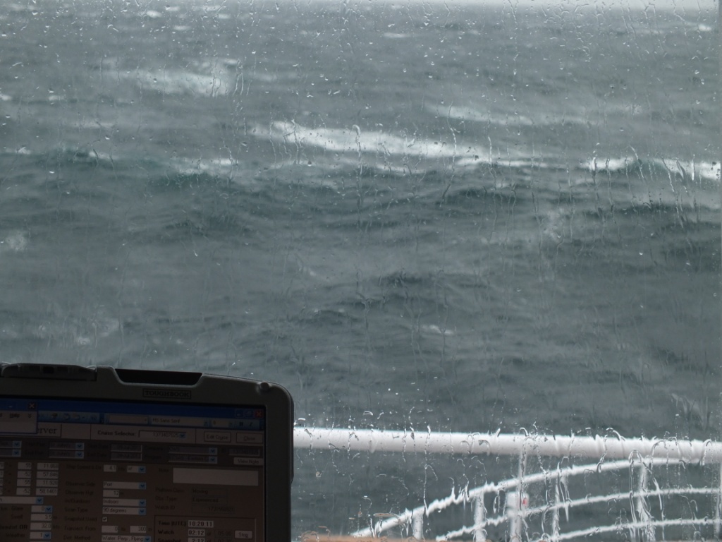Nasty weather as seen from my perch - difficult to see seabirds, already hidden by waves, through windows streaming with salt spray