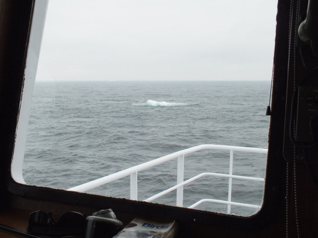 A "growler", riding low in the water below the recognisance of the radar, can be quite a danger to a boat.