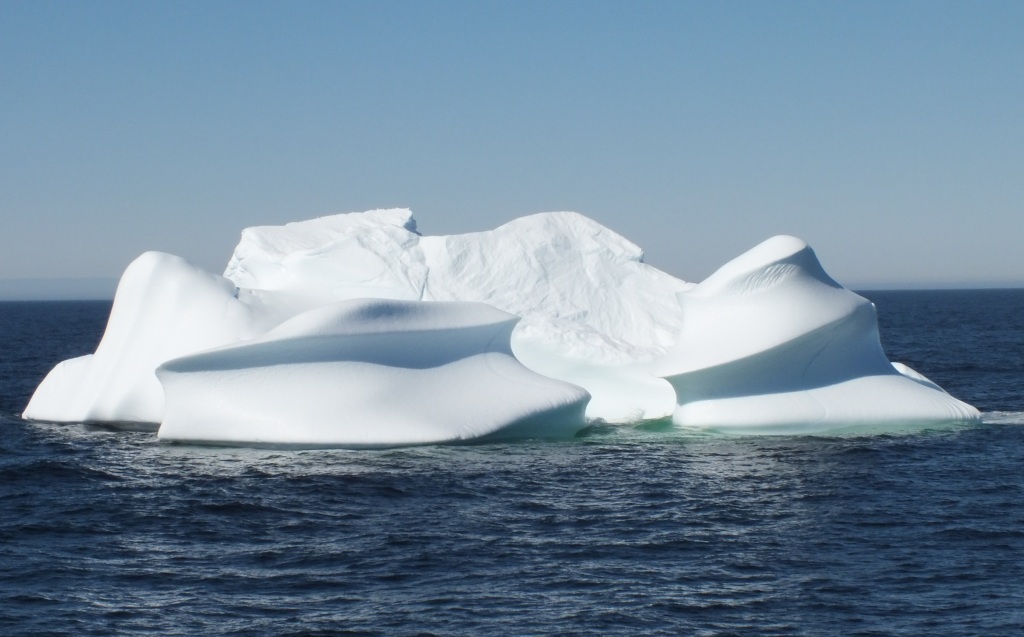 Beautifully sculpted by the sea, this berg likely began its journey when it broke off a glacier in Greenland.