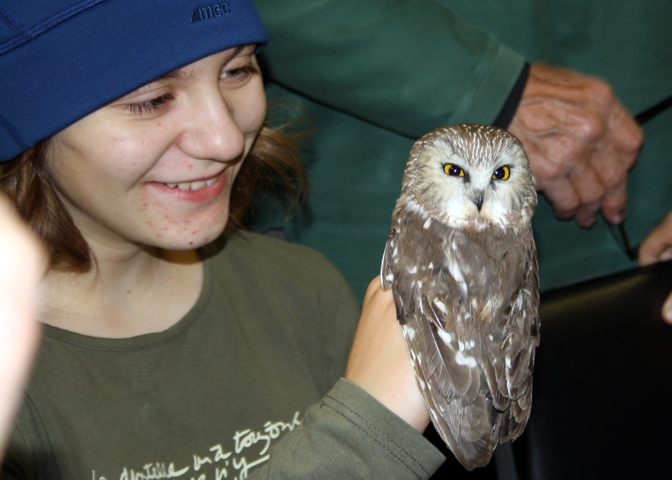 There's something utterly delightful about these little owls. -B. Fotheringham