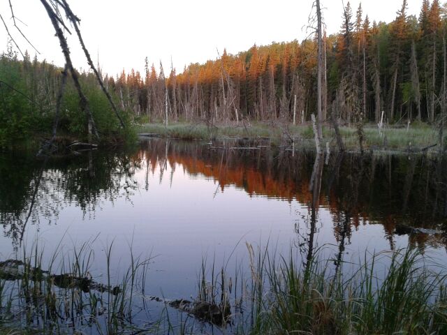 Beaver Dam in the early morning light. - Rick Ludkin