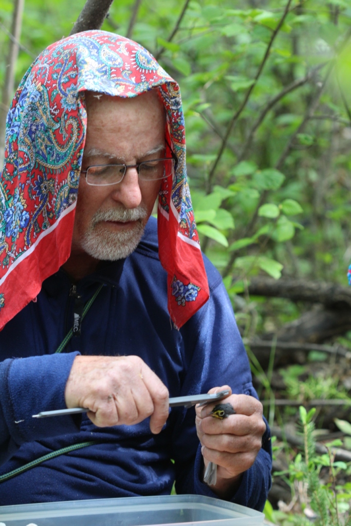 Colorful protection from mosquitos. - by Rhiannon Leshyk