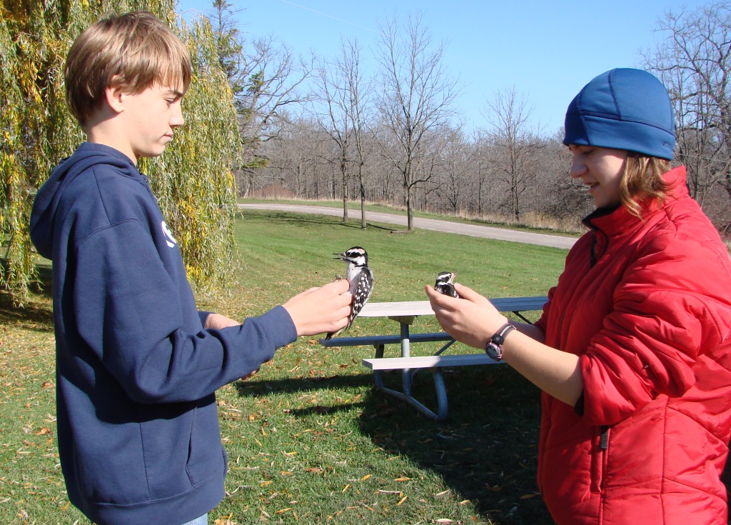 Comparison: Ben with a Hairy Woodpecker and Tessa with a Downy.  -I. Turjansky