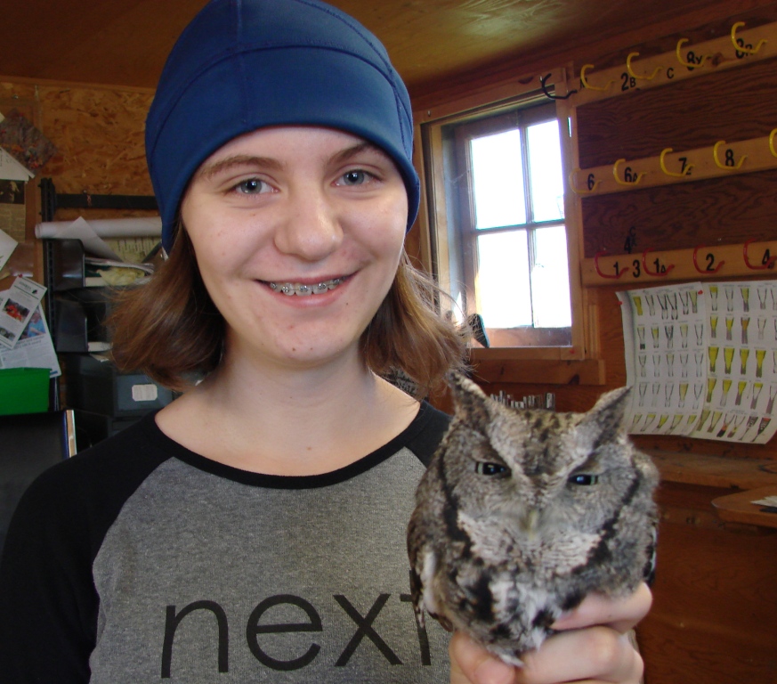 Tessa with the gray-phase Eastern Screech Owl.