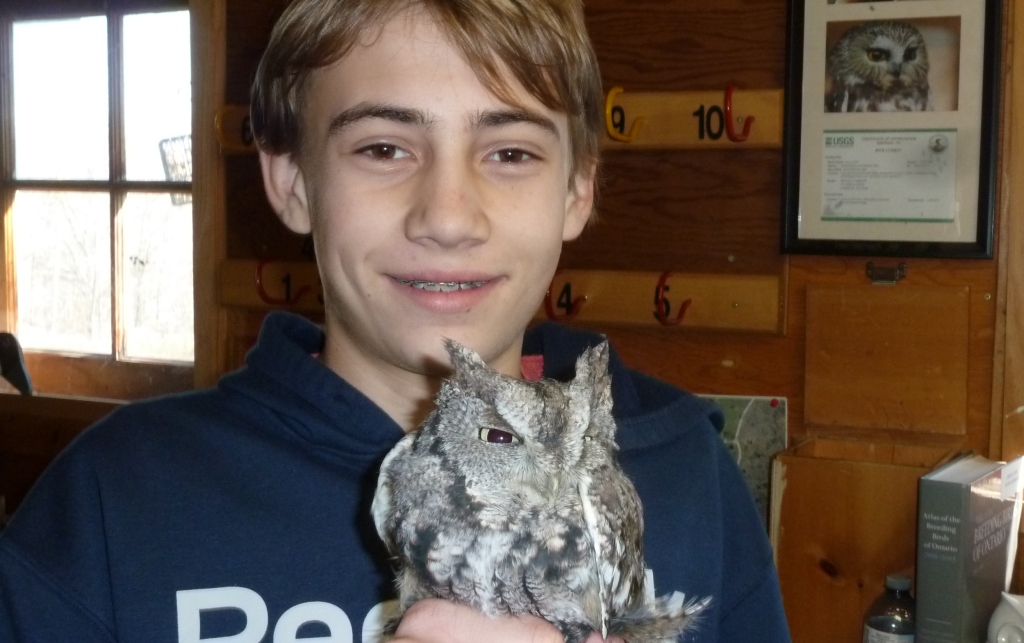 Ben with his Eastern Screech Owl.