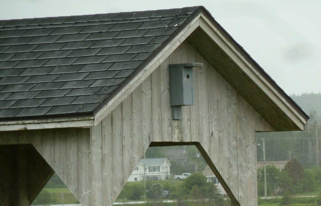 closeup of the nesting box