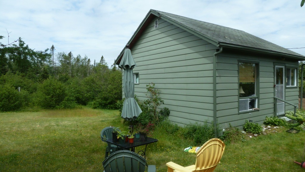 Our cabin in Grand Manan, surrounded by boreal forest. 