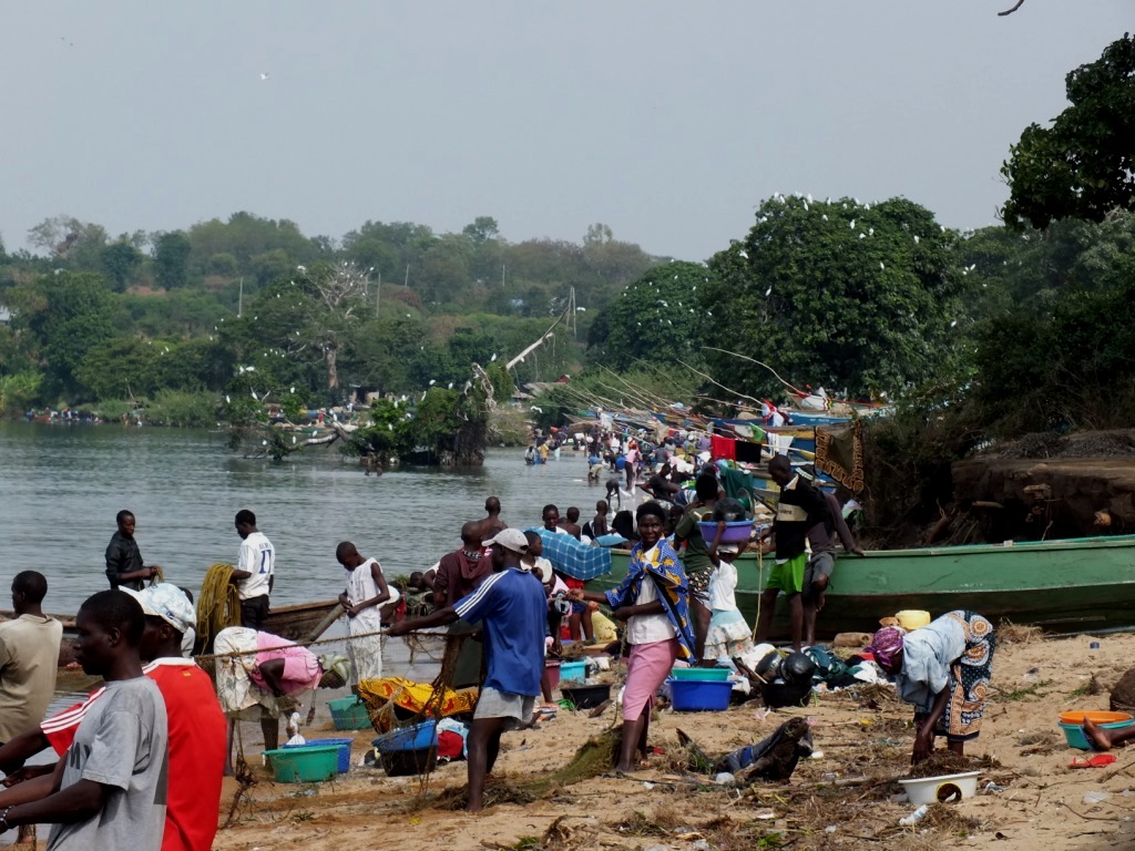 The shore of Lake Victoria is a busy place every day with multiple demands put on water usage (by humans and birds).