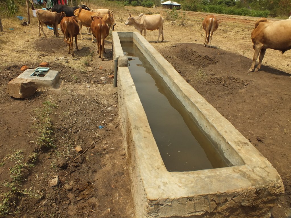 A gravity-fed cement trough would seem to be a good alternative to letting cattle range freely into water sources.