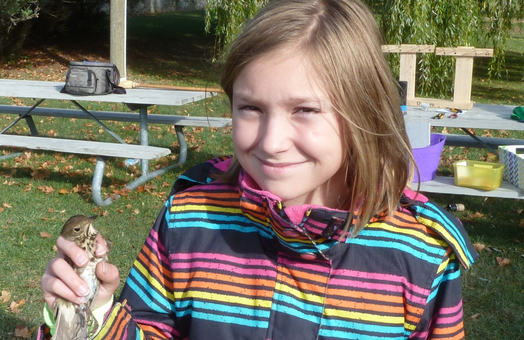 Jaden with her first banded bird: a Hermit Thrush.