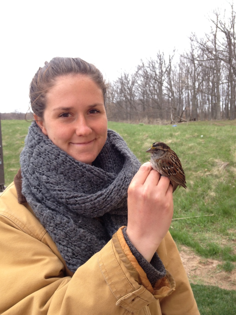 Katherine with a tan morph White-throated Sparrow. -J. Chard